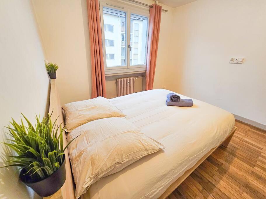 Le Bergson 3 Chambres Stationnement Gratuit แซงต์-เอเตียน ภายนอก รูปภาพ